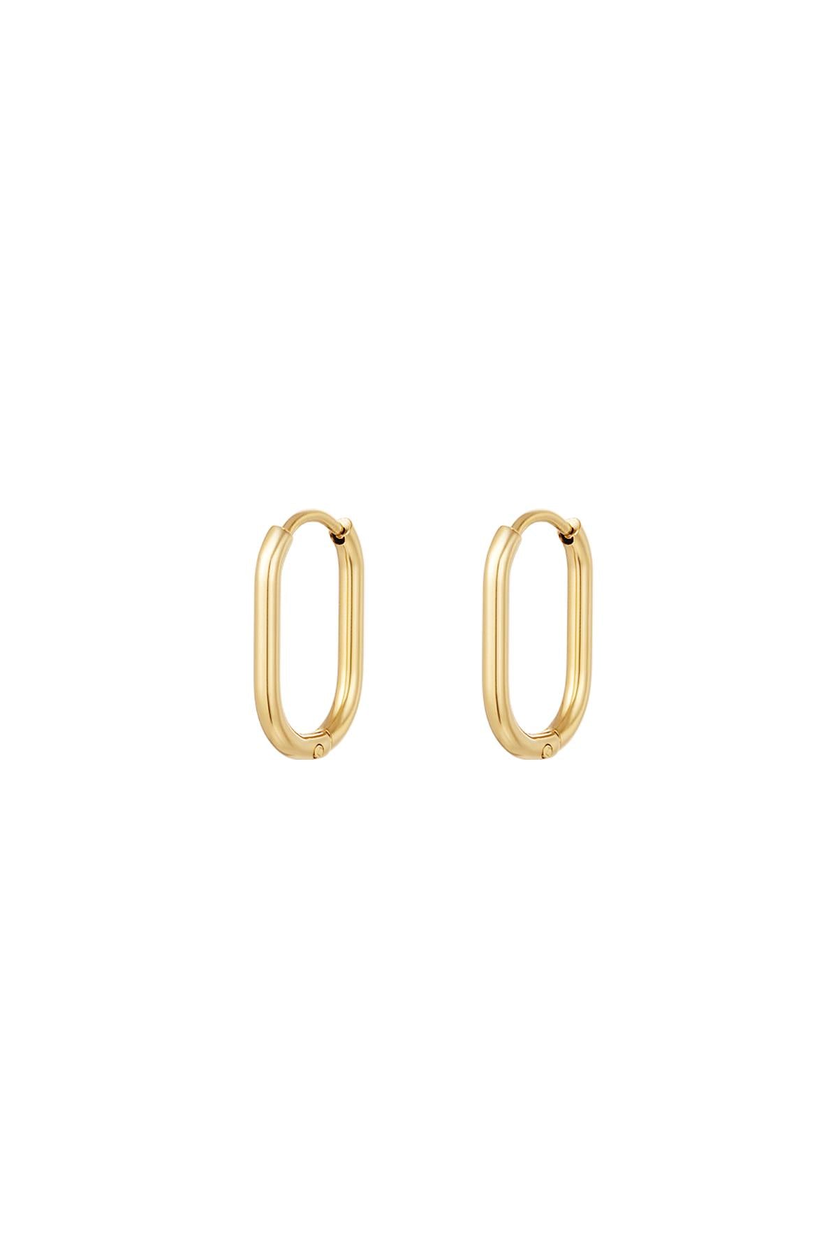 Oorbellen Oval Hoops